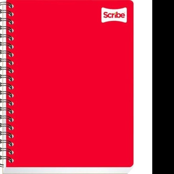 CUADERNO PROF. CLASICO SCRIBE 2187 MIXTO ESP. 200H. C.12